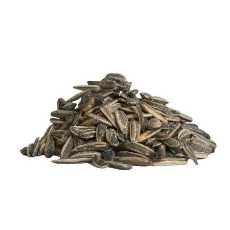 قیمت خرید تخمه آفتابگردان سنقری در کرج در گروه خرید و فروش انواع تخمه در یکمیوه -عکس1