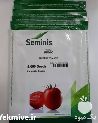 فروش بذر گوجه هیبرید بریویو در خراسان جنوبی در گروه خرید و فروش بذر گوجه در یکمیوه -عکس1