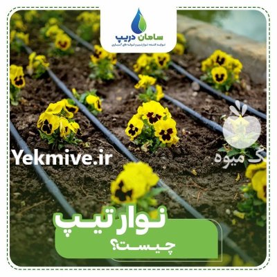 سامان دریپ تولیدکننده نوارتیپ و لوله در گروه خرید و فروش نوار تیپ در یکمیوه -عکس2