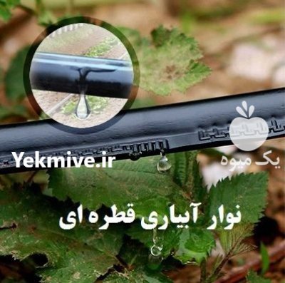 سامان دریپ تولیدکننده نوارتیپ و لوله در گروه خرید و فروش نوار تیپ در یکمیوه -عکس4