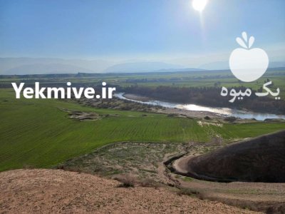 اجاره بیست هکتار زمین در دره شهر در گروه اجاره زمین کشاورزی در یکمیوه -عکس1
