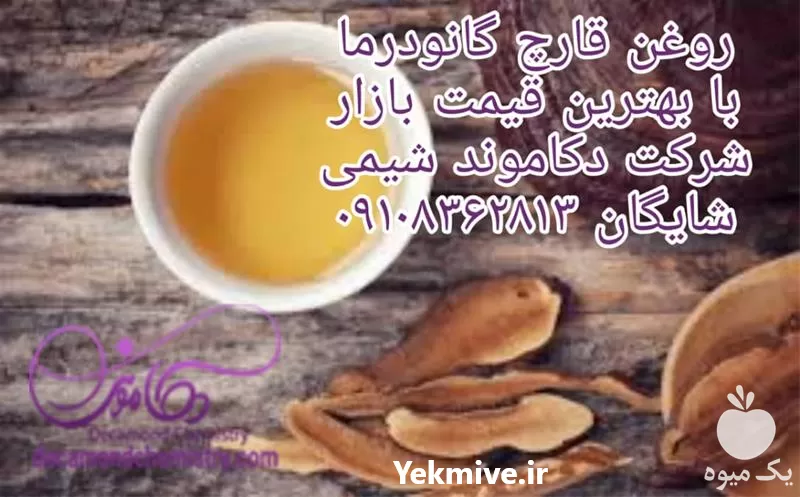 روغن قارچ گانودرما با بهترین قیمت در گروه خرید و فروش قارچ در یکمیوه -عکس1