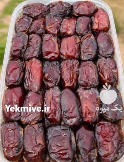 عمده تناژ خرما کبکاب تازه بوشهر در گروه خرید و فروش خرما در یکمیوه -عکس1