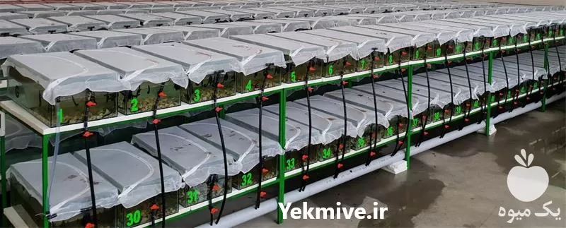 خرید آموزش تکثیر پرورش زالو در تهران در گروه دوره آموزش کشاورزی در یکمیوه -عکس1