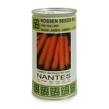 خرید بذر هویج نانتس روزن سیدز در خراسان جنوبی در گروه خرید و فروش بذر هویج در یکمیوه -عکس1