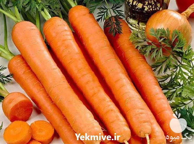 فروش کود ویژه جهت گیاه هویج در گروه خرید و فروش انواع کود کشاورزی در یکمیوه -عکس1
