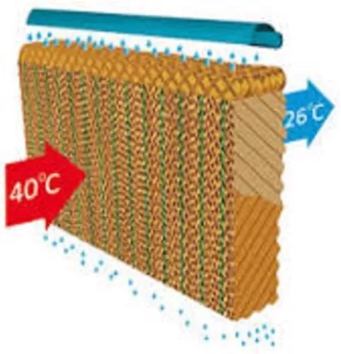 فروش پد سلولزی گلخانه در گروه خرید و فروش تجهیزات گلخانه در یکمیوه -عکس1