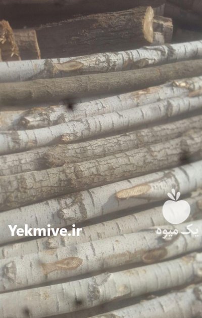 چوب میوه ای باغی چنار گیلاس در چوبر در گروه خرید و فروش انواع چوب در یکمیوه -عکس1