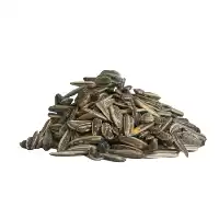 قیمت خرید تخمه آفتابگردان سنقری در کرج در گروه خرید و فروش انواع تخمه در یکمیوه