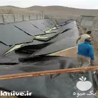 فروش استخر کشاورزی ارزان در آذربایجان غربی در گروه خرید و فروش استخر کشاورزی در یکمیوه