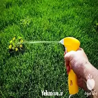 فروش سم علف کش بسیار قوی در گروه خرید و فروش انواع سم در یکمیوه