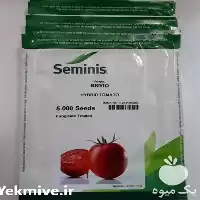 فروش بذر گوجه هیبرید بریویو در خراسان جنوبی در گروه خرید و فروش بذر گوجه در یکمیوه