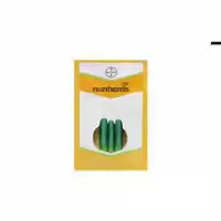 فروش توزیع بذر خیار تالیسیا در گروه خرید و فروش بذر خیار در یکمیوه