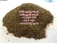 کنجاله زیتون در آستانه اشرفیه در گروه خوراک دام و طیور در یکمیوه