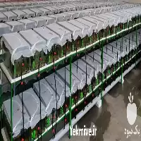 خرید آموزش تکثیر پرورش زالو در تهران در گروه دوره آموزش کشاورزی در یکمیوه