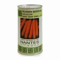 خرید بذر هویج نانتس روزن سیدز در خراسان جنوبی در گروه خرید و فروش بذر هویج در یکمیوه