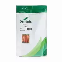 بذر هویج نانتس 2000 سمینیس پاکتی در گروه خرید و فروش بذر هویج در یکمیوه