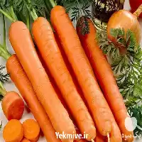 فروش کود ویژه جهت گیاه هویج در گروه خرید و فروش انواع کود کشاورزی در یکمیوه