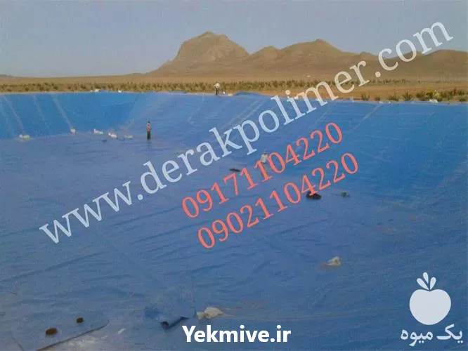 خرید استخر ذخیره آب کشاورزی پرورش در گروه خرید و فروش استخر کشاورزی در یکمیوه -عکس1