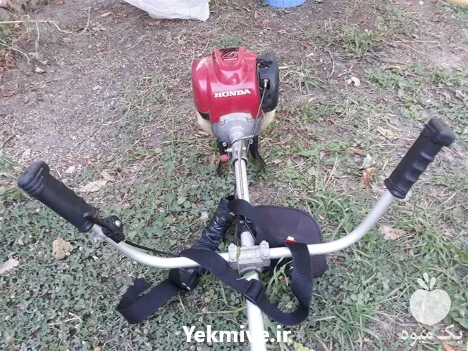 قیمت خرید علف تراش دوشی در البرز در گروه علف تراش و علف زن در یکمیوه -عکس1