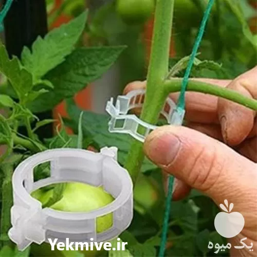 فروش گیره گلخانه در گروه خرید و فروش تجهیزات گلخانه در یکمیوه -عکس1