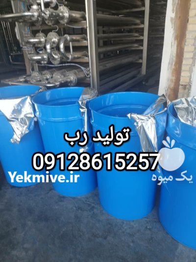 فروش رب فله اسپتیک در تهران در گروه خرید و فروش رب در یکمیوه -عکس1