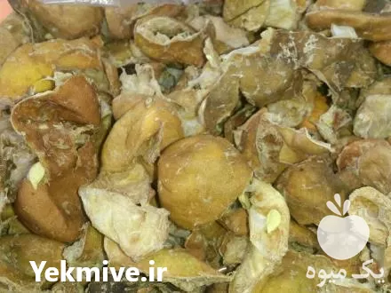 فروش هسته خوراک دام در تهران در گروه خوراک دام و طیور در یکمیوه -عکس1