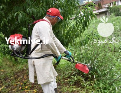 علفزن موتوری علف تراش طرح میتسوبیشی در گروه علف تراش و علف زن در یکمیوه -عکس2