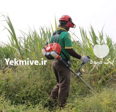 علف زن موتور مدل KHW در تهران در گروه علف تراش و علف زن در یکمیوه -عکس3