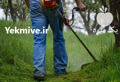 علف زن چند منظوره KH 5 T در گروه علف تراش و علف زن در یکمیوه -عکس2