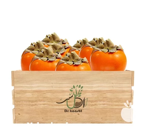 عمده نهال خرمالو گوجه ای انواع در تبریز در گروه خرید و فروش نهال خرمالو در یکمیوه -عکس1