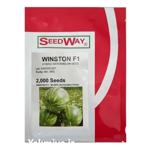 قیمت خرید بذر هندوانه وینستون در گروه خرید و فروش بذر هندوانه در یکمیوه -عکس1