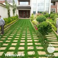 دیوار سبز طراحی در گروه سازنده در یکمیوه