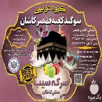 خرید سرکه سیب سنتی در گروه محصولات ترشی در یکمیوه