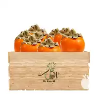 عمده نهال خرمالو گوجه ای انواع در تبریز در گروه خرید و فروش نهال خرمالو در یکمیوه