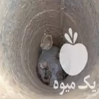مقنی چاه بتنی در گروه حفر چاه در یکمیوه
