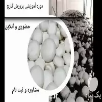 آموزش گام به گام پرورش قارچ در تهران در گروه دوره آموزش کشاورزی در یکمیوه