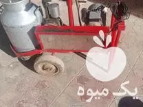 فروش شیردوش گاو سالم تک واحد در گروه تجهیزات دامداری در یکمیوه -عکس1