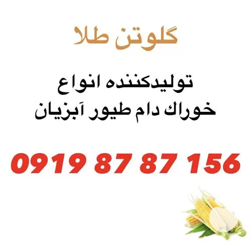 قیمت خرید گلوتن ذرت 40 درصد در تهران در گروه خرید و فروش ذرت در یکمیوه -عکس1