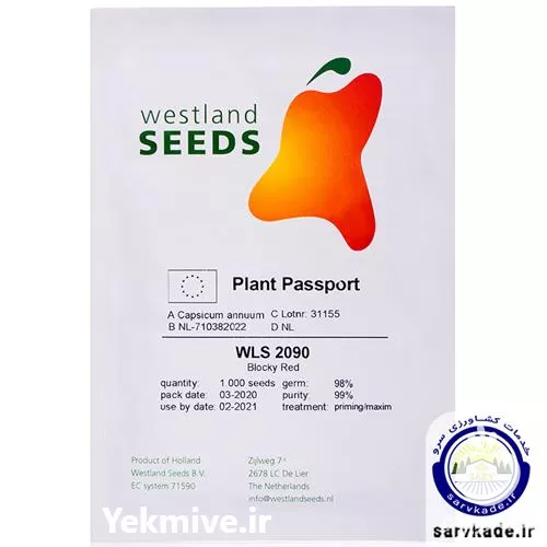 بذر فلفل دلمه قرمز 2090 و ست در گروه خرید و فروش بذر فلفل در یکمیوه -عکس1