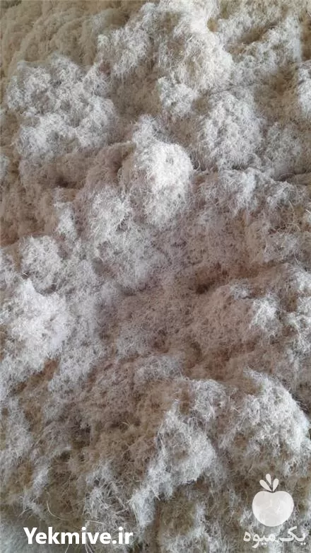 پوشال برای کف مرغداری گاوداری در کرج در گروه خرید و فروش خاک اره در یکمیوه -عکس1