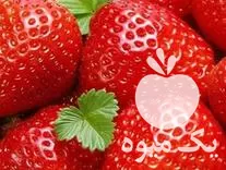 نیروی خانم جهت برداشت توت در زنجان در گروه کارگر در یکمیوه -عکس1