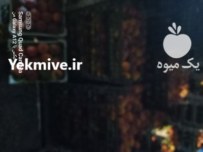 شلیل آلو جنگلی انار جهت کارخانه در گروه خرید و فروش شلیل در یکمیوه -عکس3