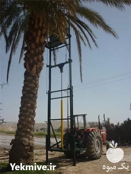 فروش بالابر درخت خرما در گروه خرید و فروش خرما در یکمیوه -عکس1