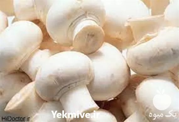 خرید آموزش پرورش قارچ دکمه ای در گروه دوره آموزش کشاورزی در یکمیوه -عکس1