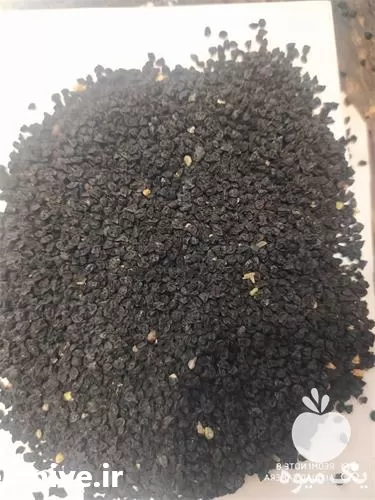 قیمت خرید بذر سبزیجات در خراسان رضوی در گروه خرید و فروش بذر سبزی در یکمیوه -عکس1