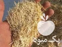 فروش علوفه و خوراک دام یوسفی در ماسوله در گروه خوراک دام و طیور در یکمیوه -عکس1