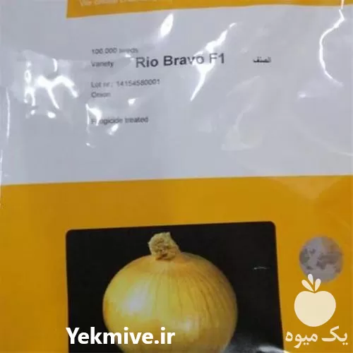 خرید توزیع بذر پیاز ریو براوو در خراسان جنوبی در گروه خرید و فروش بذر پیاز در یکمیوه -عکس1