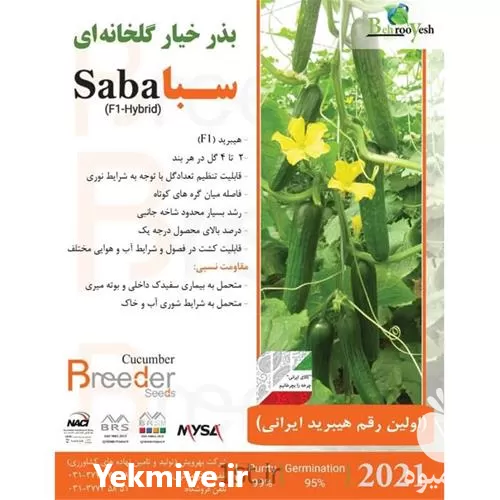 فروش بذر خیار سبا در گروه خرید و فروش بذر خیار در یکمیوه -عکس1