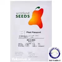 بذر فلفل دلمه قرمز 2090 و ست در گروه خرید و فروش بذر فلفل در یکمیوه